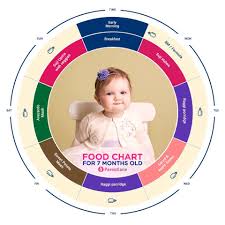 7 Months Baby Food Chart Indian Food Chart For Your 7