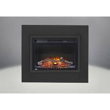 Napoleon Fireplaces Nefb24h 3a 24 Inch