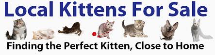 Americanlisted has classifieds in cincinnati, ohio for dogs and cats. List Of Cat Breeders In Ohio