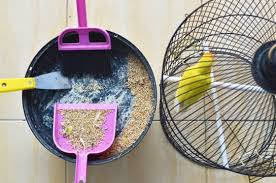how to clean a used bird cage bird