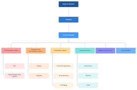 013 Company Org Chart Template Ideas Microsoft Unbelievable