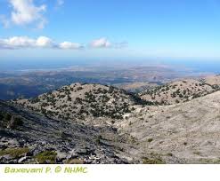 Λευκά Όρη και παράκτια ζώνη | NATURA Crete Value