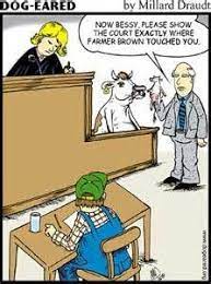 How many lawyer jokes are there? Funny Courtroom Quotes Lawyer Jokes Lawyer Humor Legal Humor