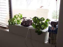 Hydroponic Window Herb Garden System