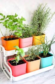 diy herb garden ideas for indoor outdoor