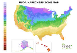 usda zone 7 where is it what to plant