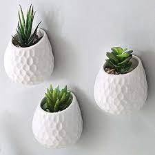Wall Mounted Succulent Plant Pots Set