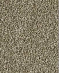 tempt phenix carpet warehouse carpets