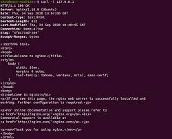how to install nginx on ubuntu 20 04