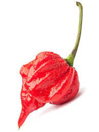 scorpion pepper what s so special