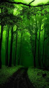 hd green trees wallpapers peakpx