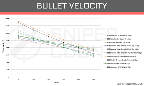 78 Unfolded Shotgun Slug Ballistics Chart