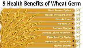 9 amazing health benefits of wheat germ
