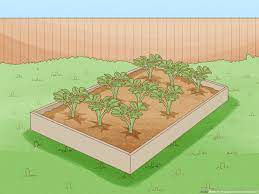 how to prepare a new garden bed 12
