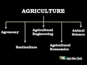 Image result for what are the two branches of agriculture