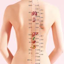 Usd 10 14 Human Meridian Acupuncture Standard Large Wall