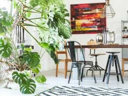Houseplants That Are Absolute Showstoppers