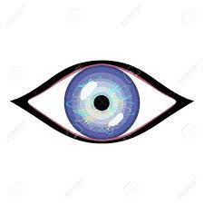 人間の目のベクター イラストです。睨むと様式化された目のイラスト素材・ベクター Image 50949802