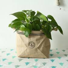 0 5 Gallon Garden Plant Grow Bags