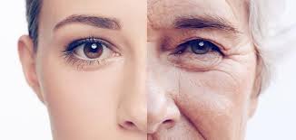 أعراض زيادة الكولاجين في الوجه - سطور