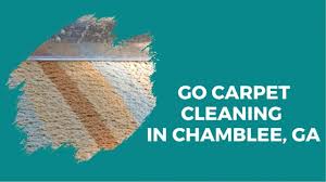 go carpet cleaning offers services in