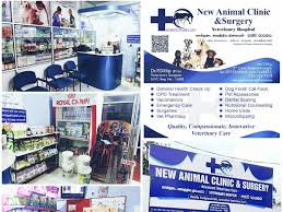 Preventive care is the foundation of our services. New Animal Clinic And Surgery Advanced Veterinary Care Private Veterinary Clinic Vavuniya