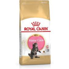 royal canin fbn kitten maine 10kg
