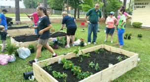 Growing Library Garden Programs
