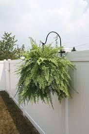 We did not find results for: Cool Creative Ideas For Garden Decoration Frugal Living Hanging Plants Outdoor Hanging Plants On Fence Vinyl Fence Landscaping