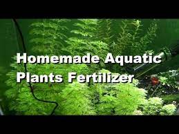 diy fertilizer for aquatic plants you
