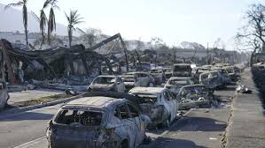 Specialized Mass. rescue teams head to fire-ravaged Hawaii Specialized Mass. rescue teams head to fire-ravaged Hawaii