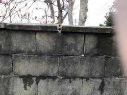 Repair Concrete Block Wall 885090