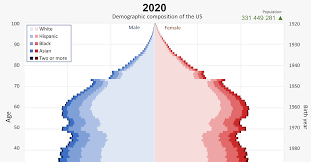 animated chart america s demographics