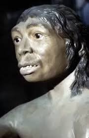 Neanderthal Man Photos. Heritage Images