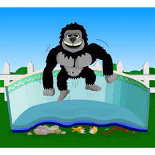 gorilla pad pool floor padding royal