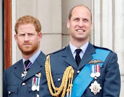 prince harry and william s feud may