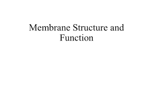 Membrane Structure And Function Ppt Download