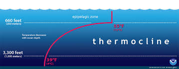 The deep sea drilling project (dsdp) was an ocean drilling project operated from 1968 to 1983. What Is A Thermocline