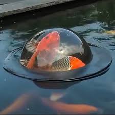Best Floating Fish Dome Are They Worth