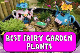 What Plants To Use In A Fairy Garden