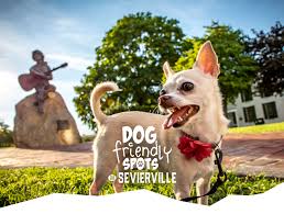 find dog friendly spots in sevierville