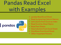 pandas read excel with exles spark