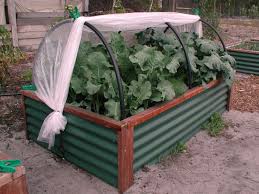 Frost Protection Canopies Pots