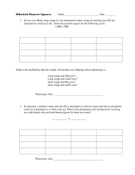 Fill out the squares with the alleles from parent 2. Dihybrid Punnett Squares Practice Problems