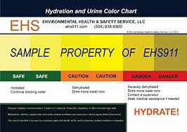Amazon Com Heat Stress Hydration And Urine Color