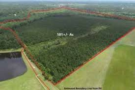 Derived from middle english aker (from old english aecer) and akin to latin ager (field) Wayne County Ga Land For Sale 81 Listings Landwatch