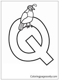 Download and print free california quail coloring pages to keep little hands occupied at home; Letter Q Is For Quail Coloring Pages Alphabet Coloring Pages Coloring Pages For Kids And Adults