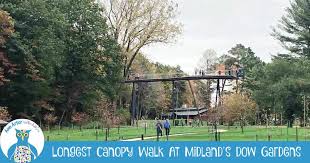 explore the longest canopy walk in us