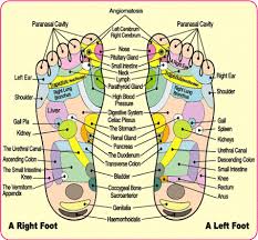 Detox Foot Pads Health And Fitness Foot Reflexology