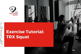 exercise tutorial trx squat